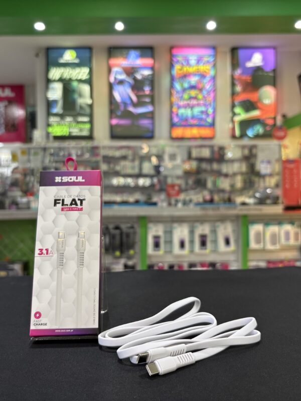 Cable C a C Soul Flat 3.1A